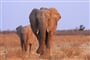 dreamstime_Namibie_WINDHOEK_xl_21069974