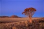 dreamstime_Namibie_WINDHOEK_xl_27572740