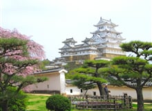 JAPONSKO – okruh na Honšú, památky UNESCO i metropole v době květu sakur