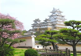 JAPONSKO – okruh na Honšú, památky UNESCO i metropole v době květu sakur