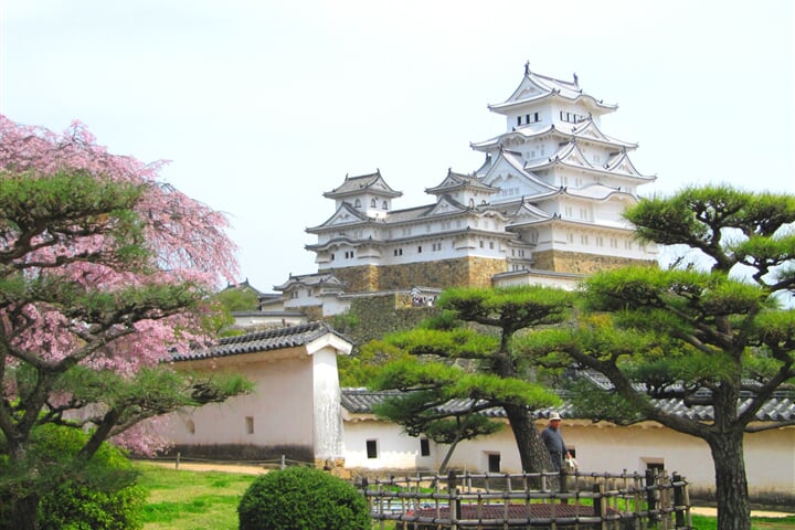 JAPONSKO – okruh na Honšú, památky UNESCO i metropole v době květu sakur