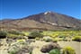 Poznávací zájezd Španělsko - Kanárské ostrovy NP Teide
