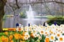 Poznávací zájezd Holandsko - Květinový park Keukenhof