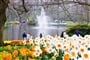Poznávací zájezd Holandsko - Květinový park Keukenhof