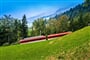 Poznávací zájezd Švýcarsko - horský vláček