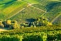 Poznávací zájezd Francie - kraj Bordeaux