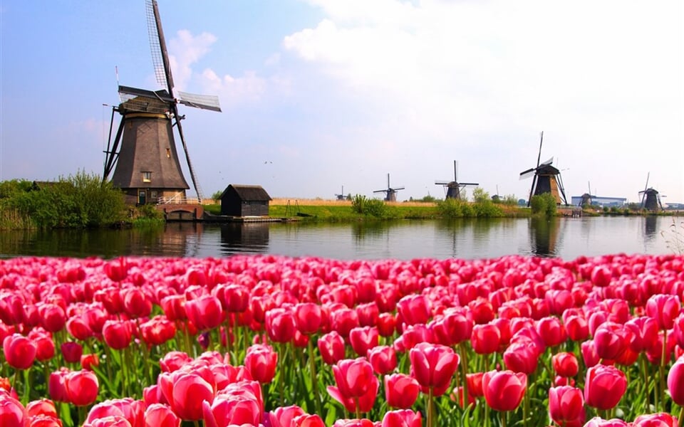 Holandsko -  mlýny v Zaanse Schans