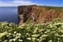 Poznávací zájezd Německo - ostrov Helgoland