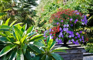 Bodamské Jezero - Mainau, Kostnice, Lindau