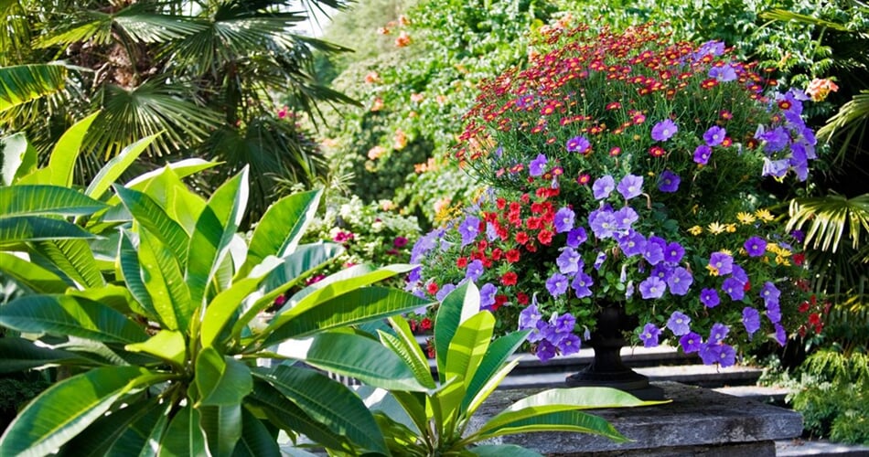 Německo - ostrov Mainau