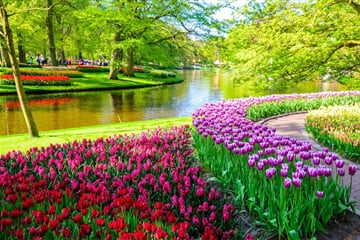 Letecký Zájezd Do Holandska - Keukenhof