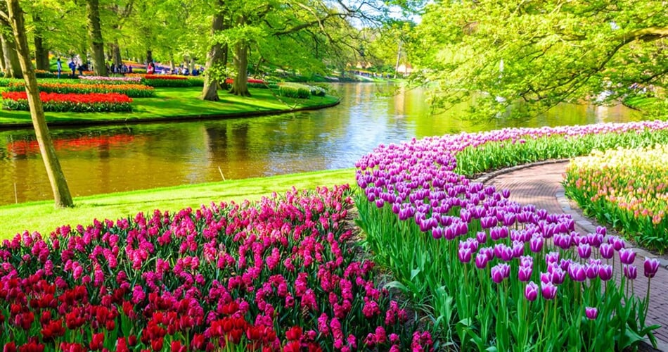 Holandsko - květinový park Keukenhof