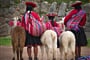 Poznávací zájezd Peru - Cuszo