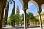 Poznávací zájezd Španělsko - Andalusie - Córdoba