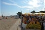 Italy Camping Village, Cavallino (8)