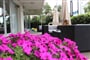 Hotel Kent, Riccione (12)