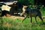 Zoo wroclaw