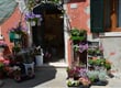 Italské stálice 16 Burano