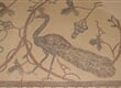 Jordansko 150 krásné mozaiky na chrámových podlahách na hoře Nebo