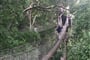 Amazonie - Canopy tour