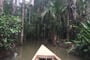 Amazonie - výlet na jezero Sandoval