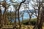 darwin-ushuaia-02