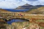 darwin-ushuaia-03