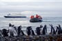darwin-ushuaia-06