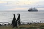 darwin-ushuaia-07