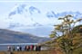 darwin-ushuaia-10