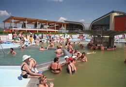 Hotel Borinka