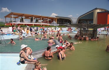 Hotel Borinka