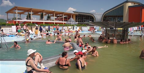 Hotel Borinka
