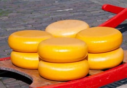 Holandsko Květinové korzo 2026, Amsterdam, Keukenhof, Alkmaar, Volendam