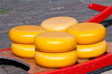 Holandsko Květinové korzo 2026, Amsterdam, Keukenhof, Alkmaar, Volendam