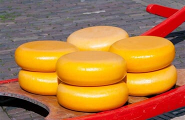 Holandsko Květinové korzo 2026, Amsterdam, Keukenhof, Alkmaar, Volendam