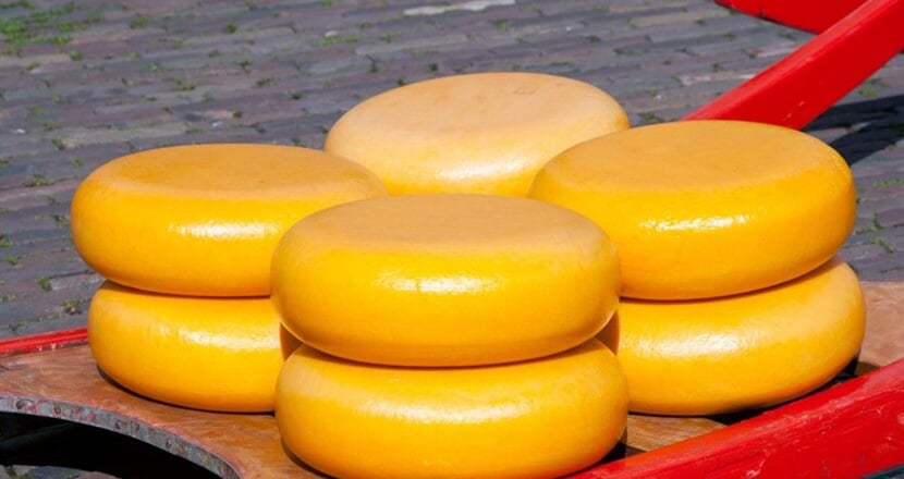 Poznávací zájezd Holandsko Květinové korzo