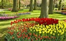 Poznávací zájezd Holandsko Květinové korzo