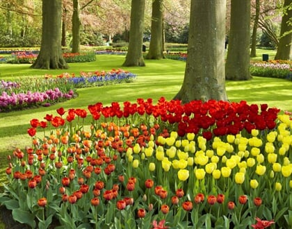 Poznávací zájezd Holandsko Květinové korzo