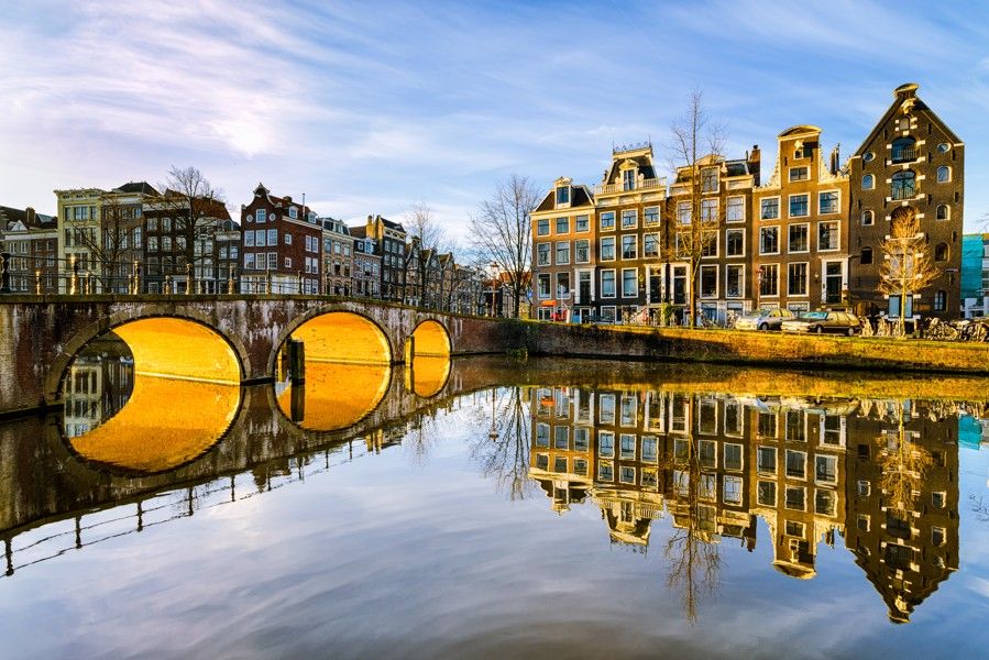 work travel holandsko recenze