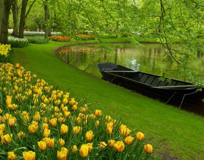 Poznávací zájezd Holandsko Květinové korzo