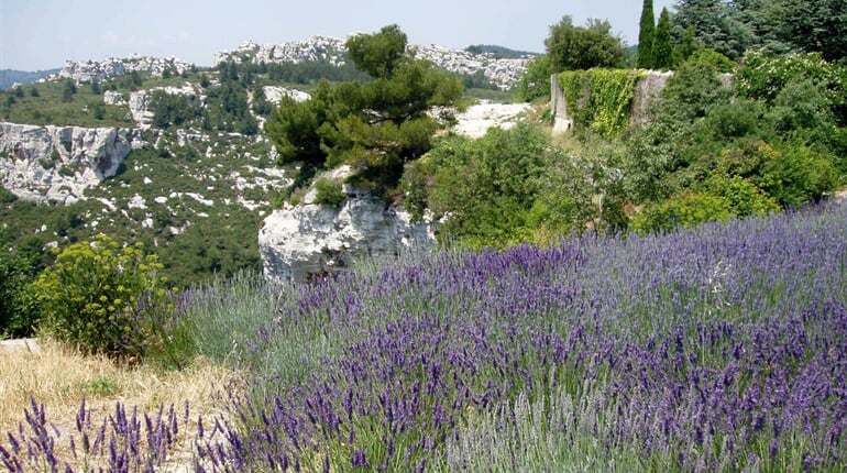 Provence 3