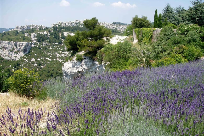 Provence 3