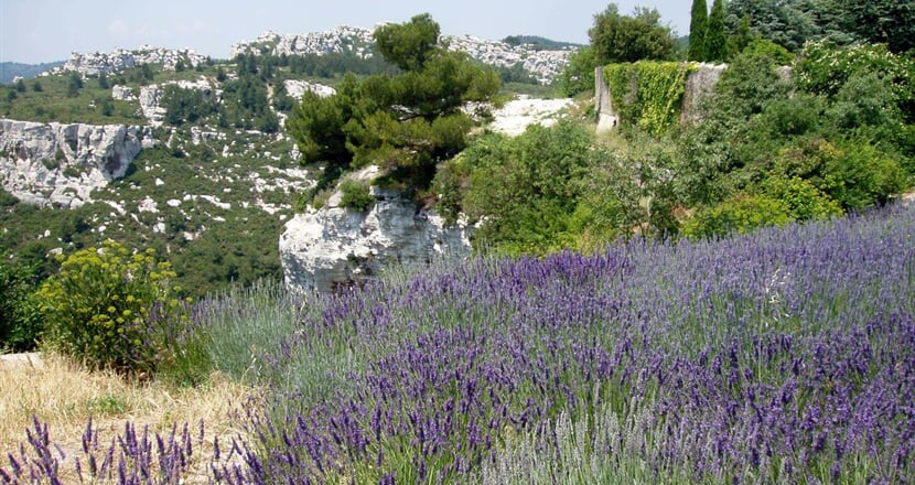 Provence 3