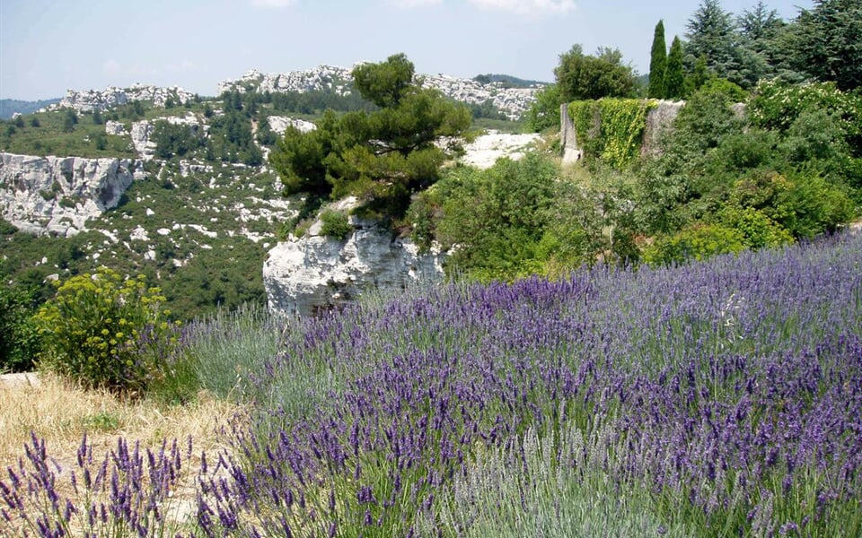 Provence 3