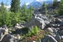 ledovec-morteratsch-09