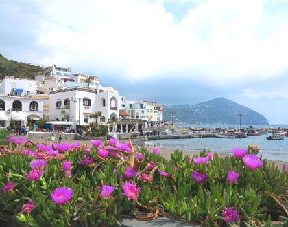 Ischia-12