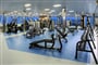 28 Quantum of the Seas - Fitness centrum