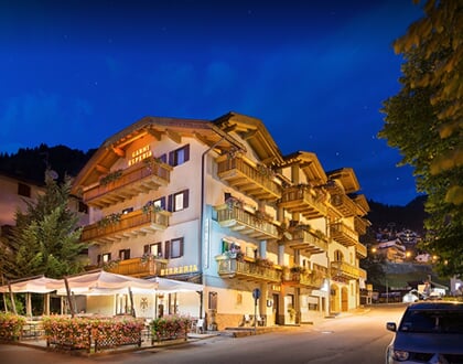 Hotel Garni Esperia, Alleghe (9)