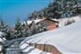 Alpine Smart Rezidence, Altopiano di Folgaria (9)